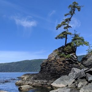 Meet your Posher, Carol